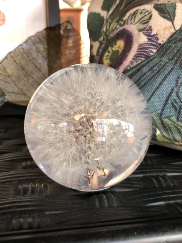 Dandelion Paperweight
