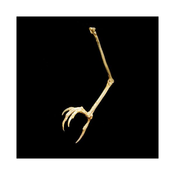 Julia Deville - Claw Brooch Gold