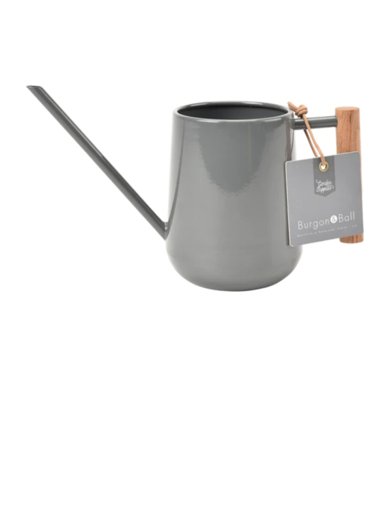 Indoor Watering Can Charcoal Florafauna