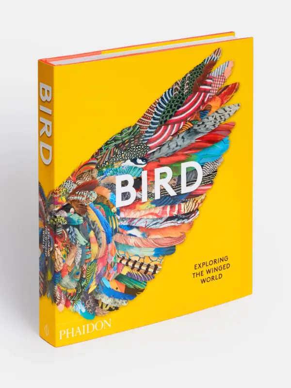 Bird: Exploring the Winged World: