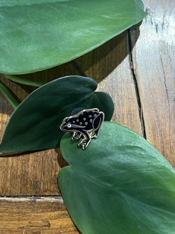 Frog Enamel Pin