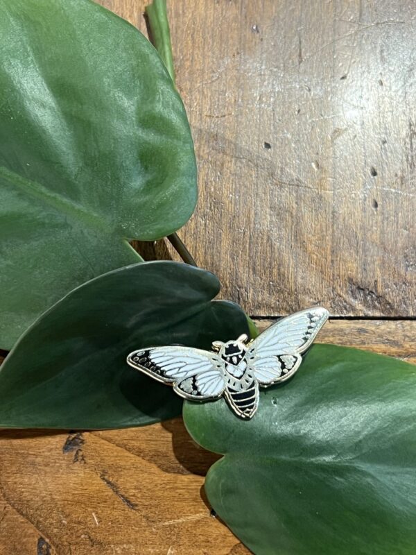 Cicada Enamel Pin
