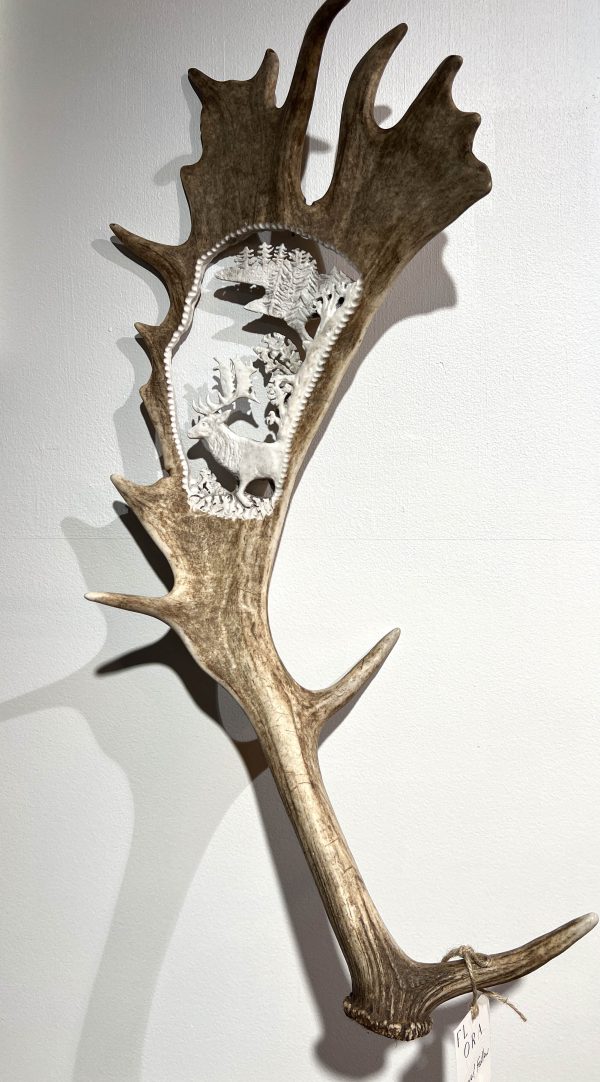 Fallow Antler Carved - Wall Mounted