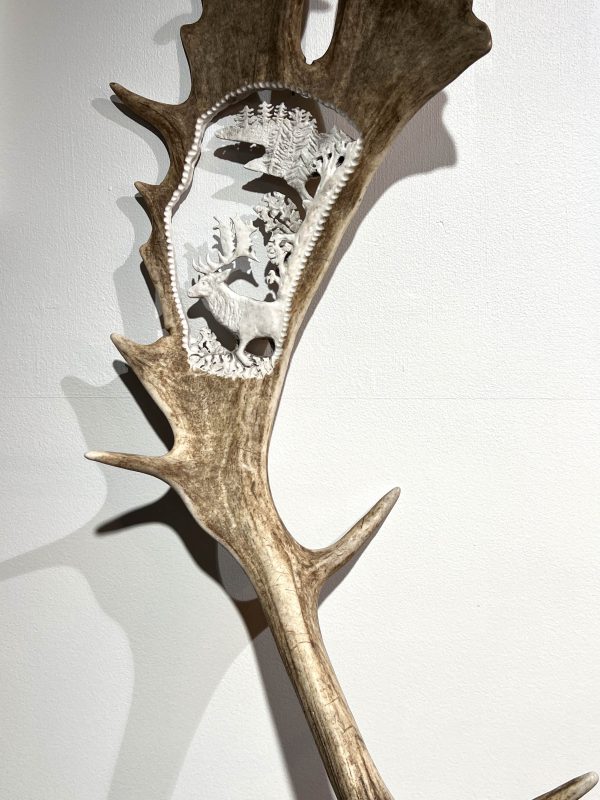 Fallow Antler Carved - Wall Mounted