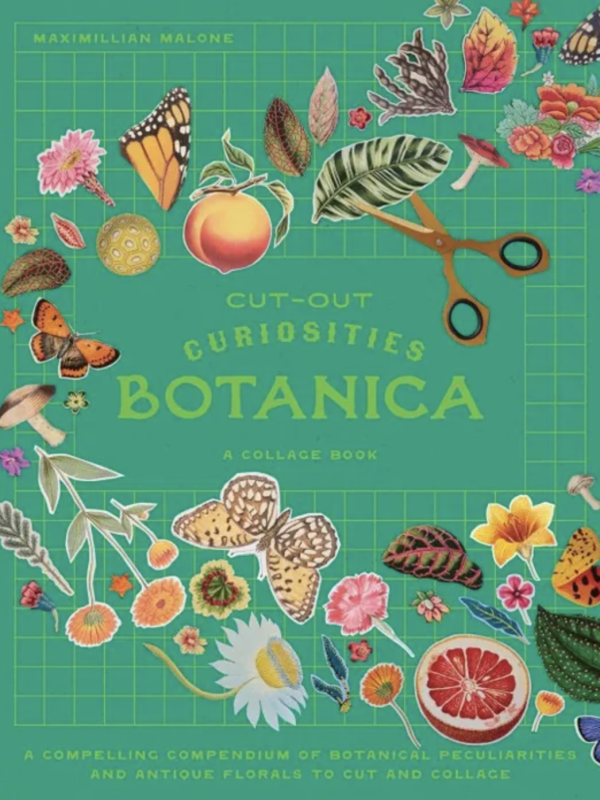 Cut Out Curiosities - Botanica