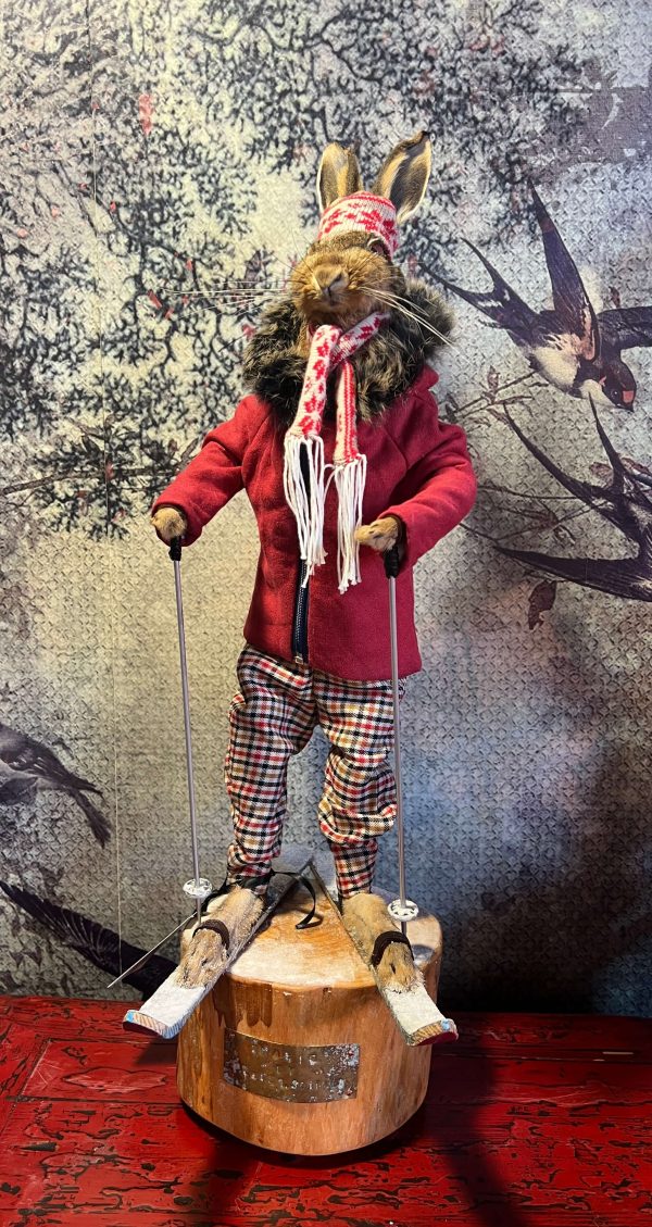 Snawie McHare - Taxidermy Hare
