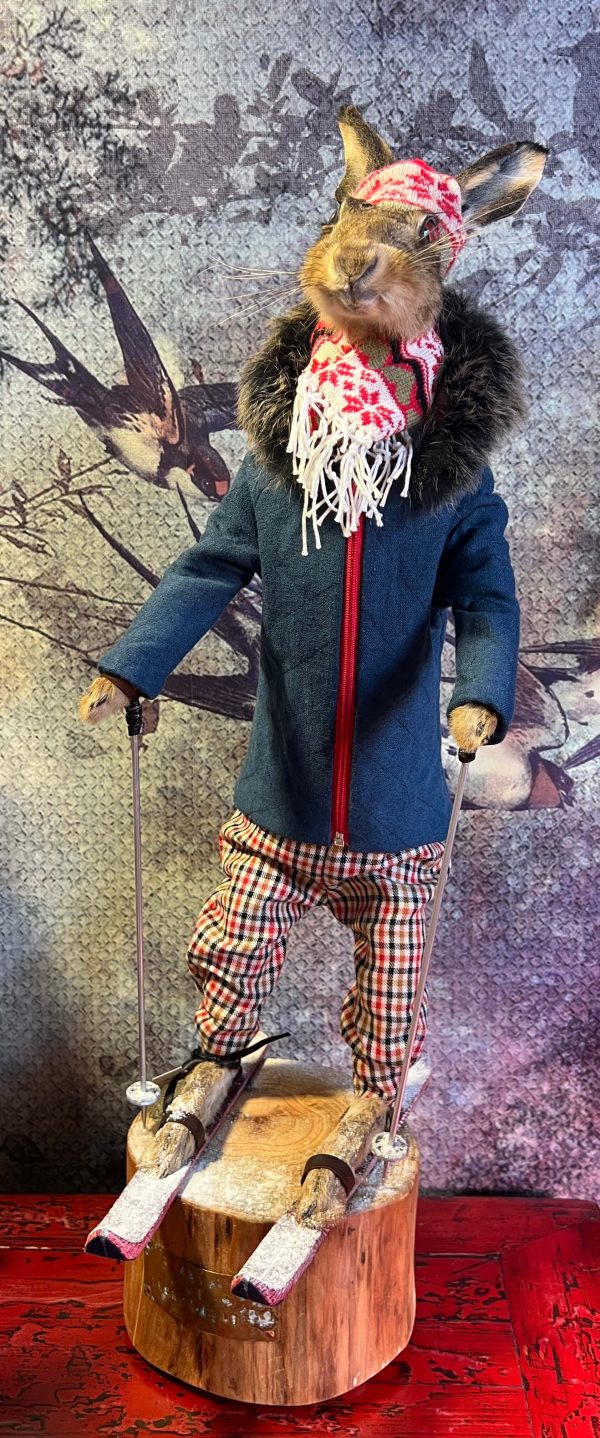 Skalva McHare - Taxidermy Hare