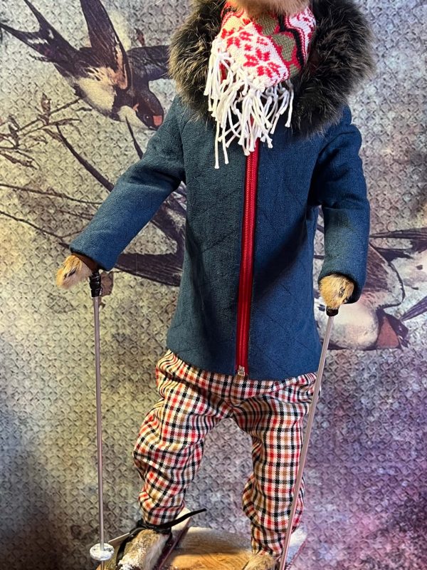 Skalva McHare - Taxidermy Hare