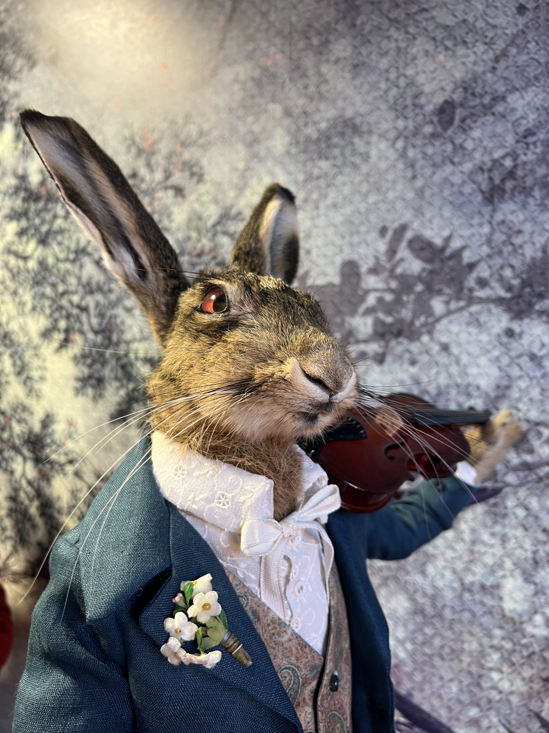 Aurelio Lepre - Taxidermy Hare - Image 3