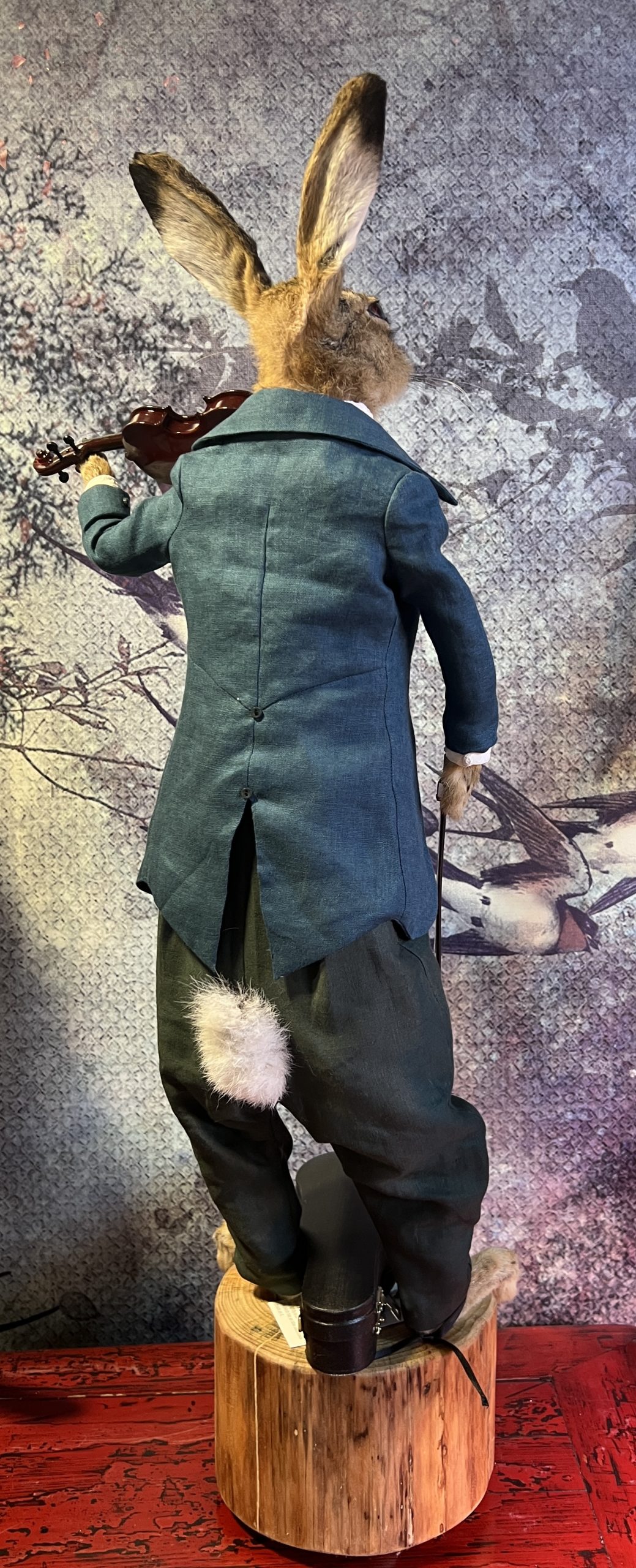 Aurelio Lepre - Taxidermy Hare - Image 4