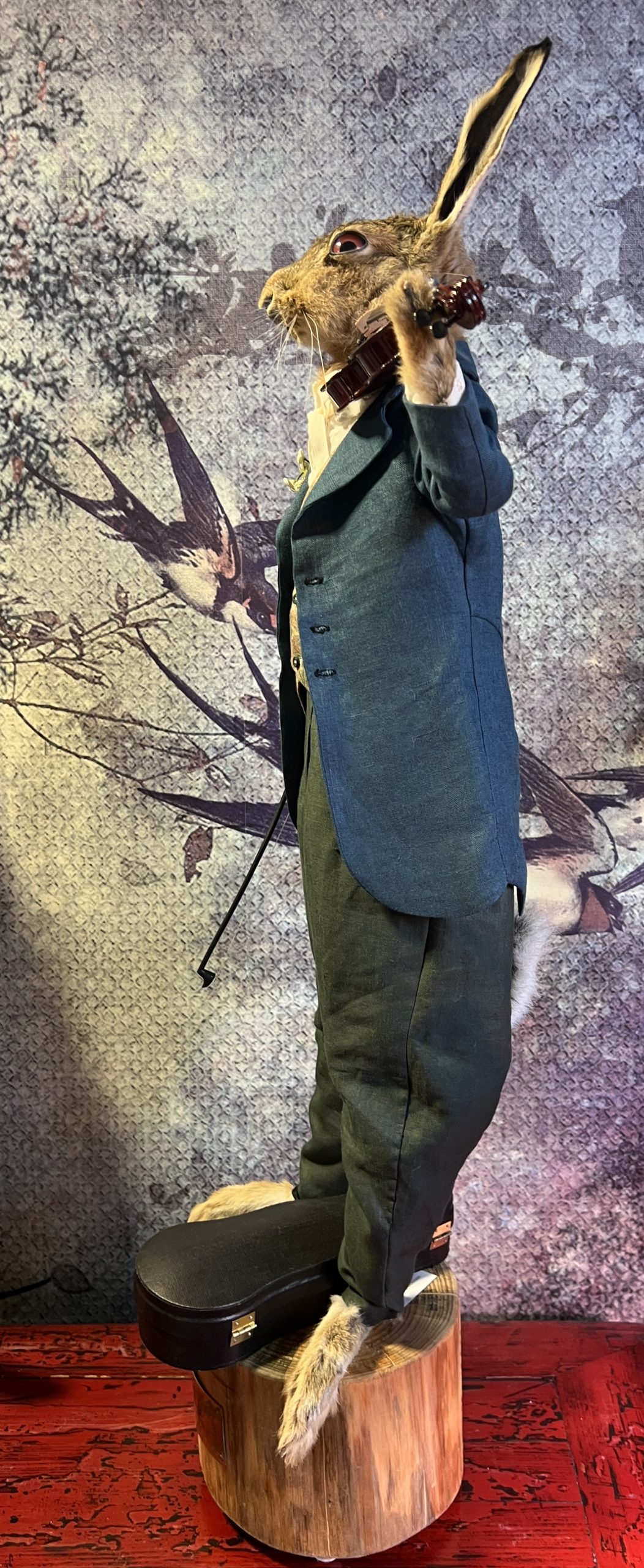 Aurelio Lepre - Taxidermy Hare - Image 6