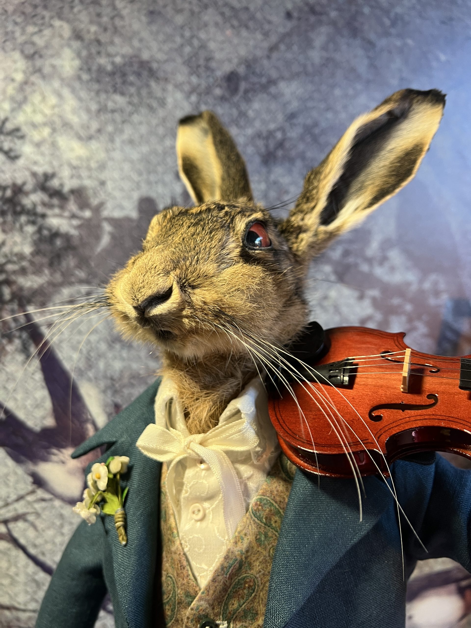 Aurelio Lepre - Taxidermy Hare - Image 7