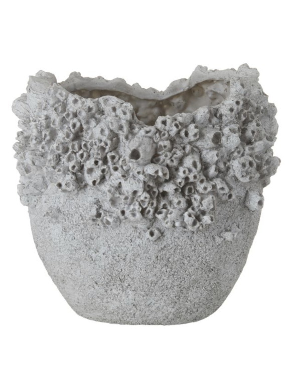 Barnacle Vessel - Large