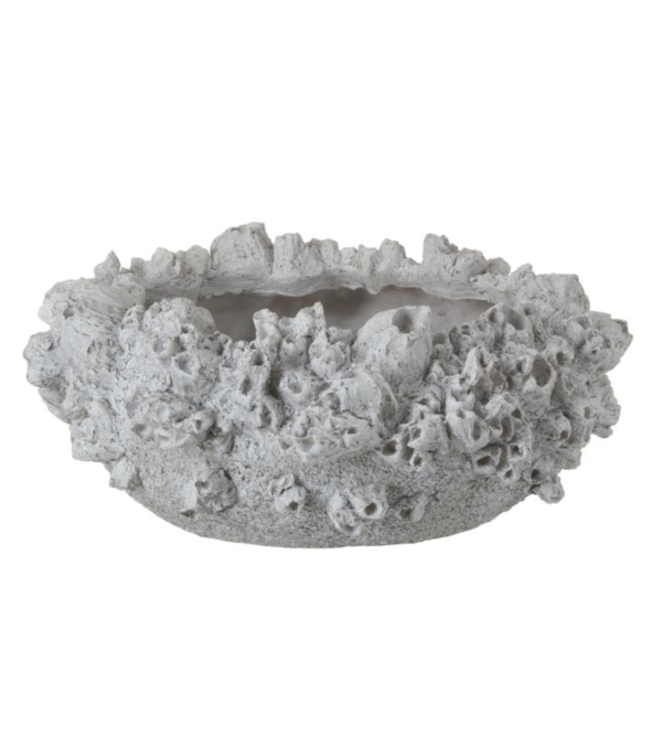 Barnacle Vessel - Small