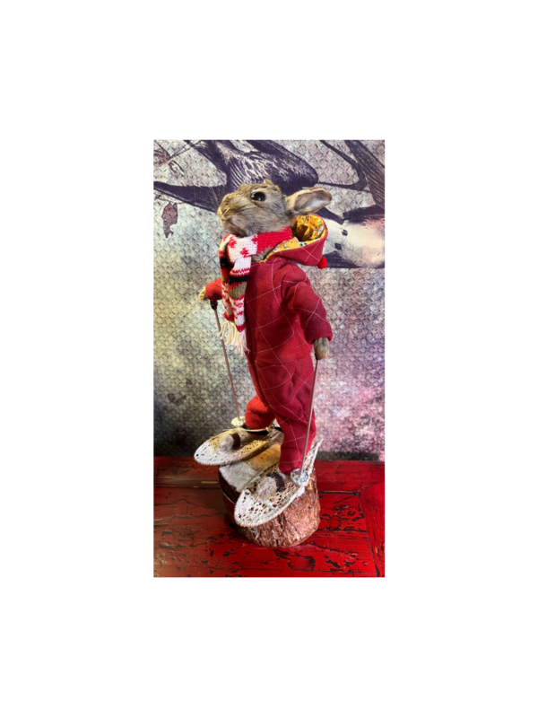 Ski Bunny - Fleur McHare