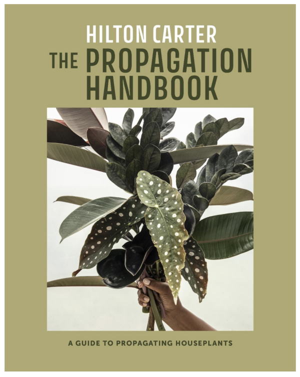 The Propagation Handbook