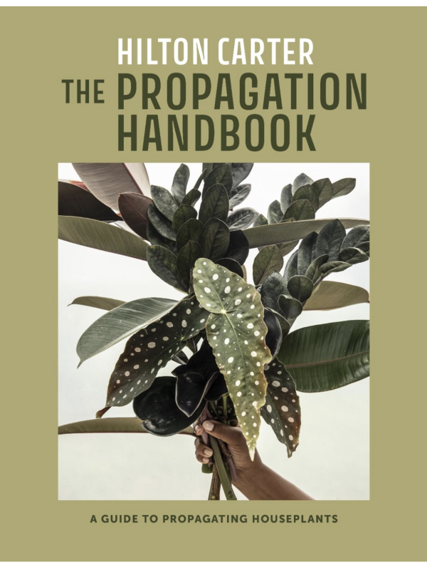 The Propagation Handbook