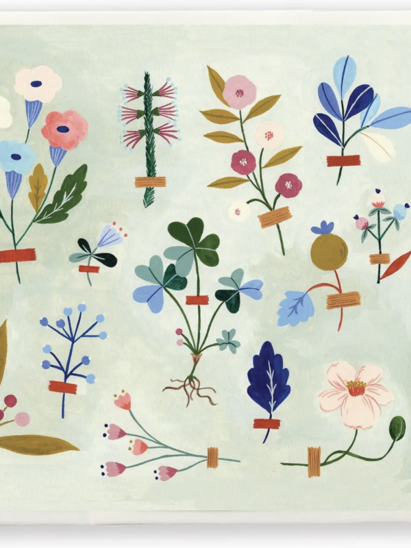 Flora Waycott-Tint Plant Collector Card