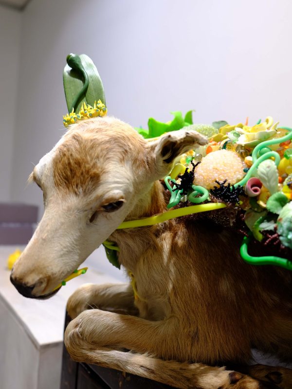 Angela Singer - Anthropocene Accelerated Assemblage 2019