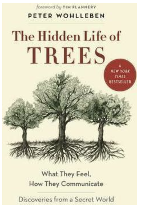 The Hidden Life of Trees