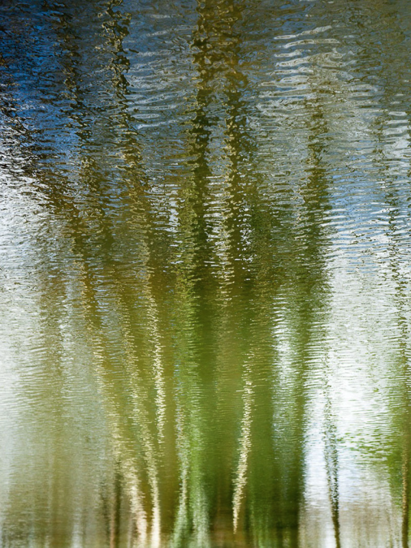 Florence Sanz 'Eventail' Photograph 2014