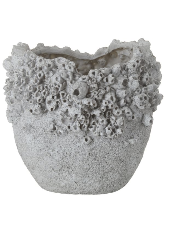 Barnacle Vessel - Large