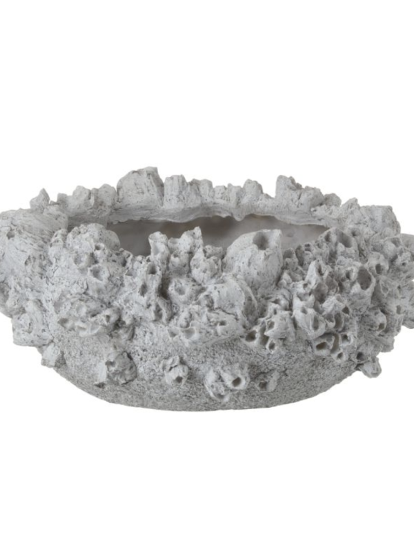 Barnacle Vessel - Small