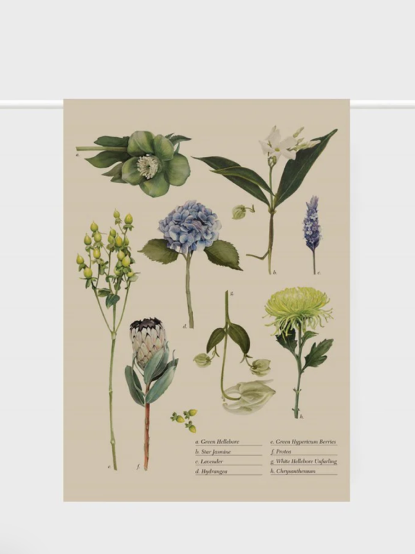 Father Rabbit Tea Towel - Botanical Chart