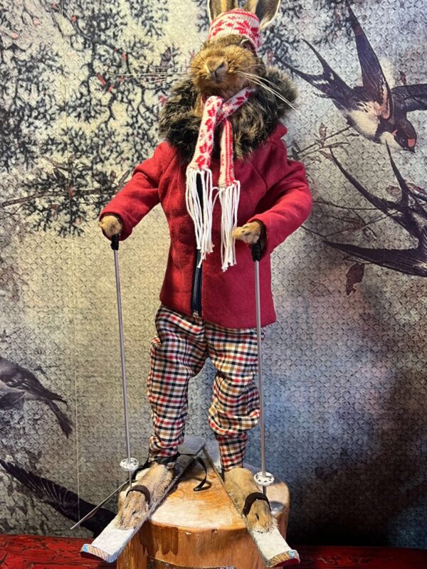 Snawie McHare - Taxidermy Hare