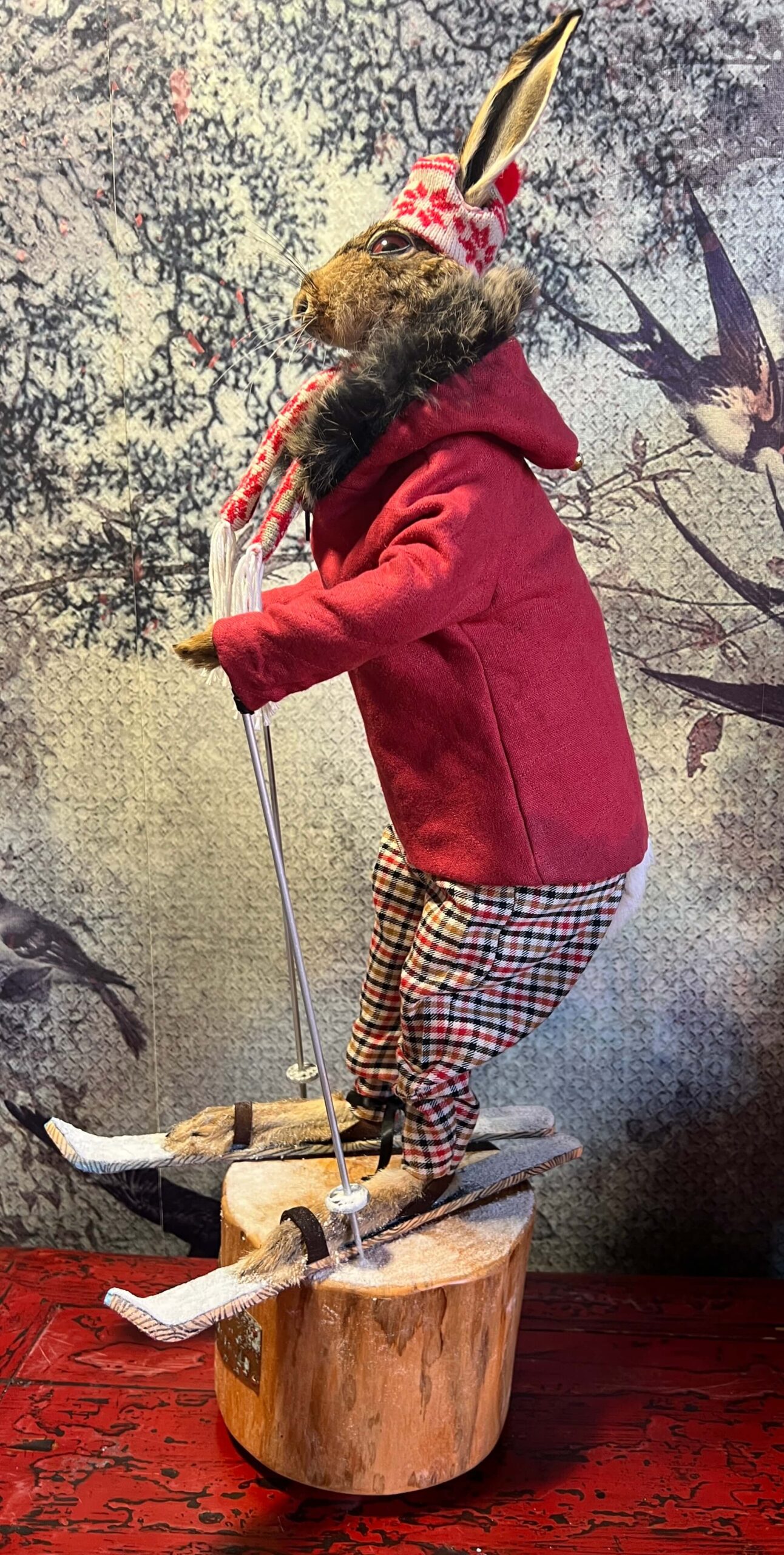 Snawie McHare - Taxidermy Hare - Image 5