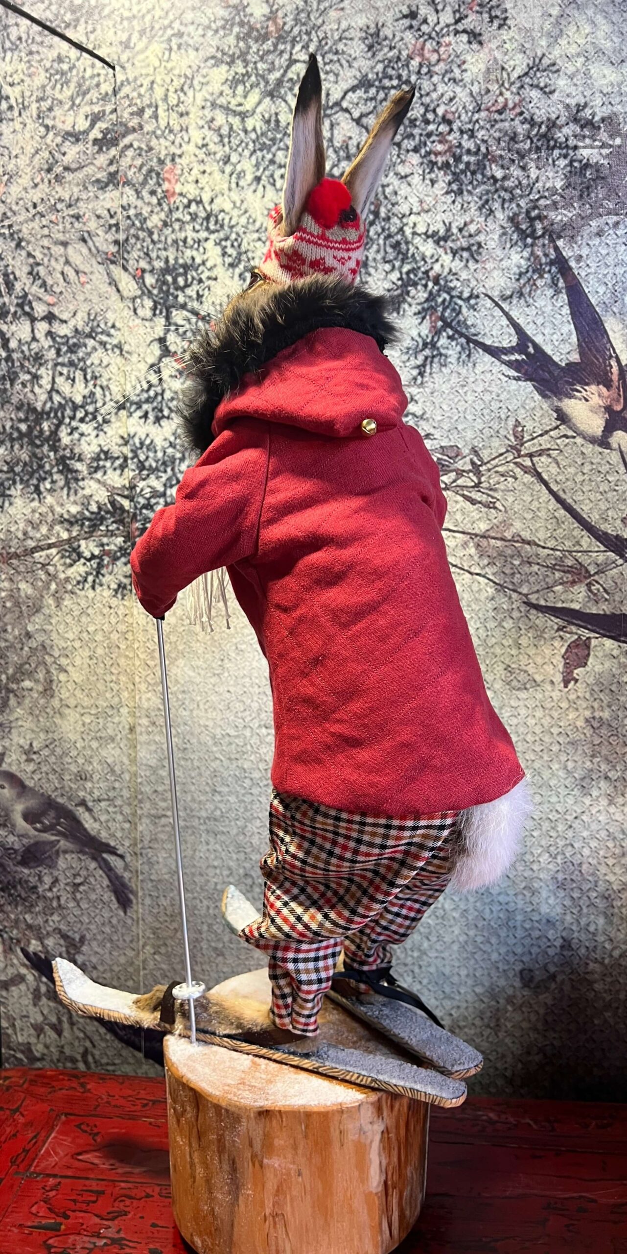 Snawie McHare - Taxidermy Hare - Image 7