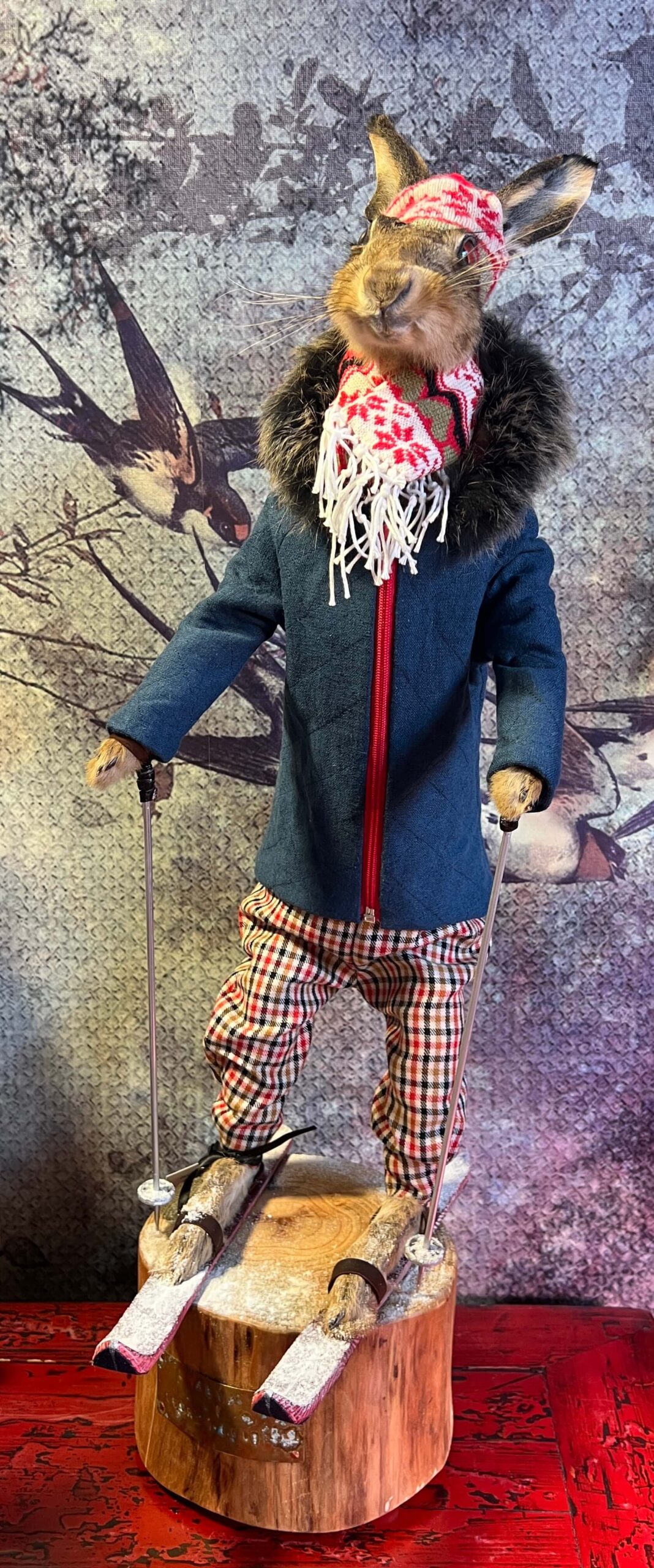 Skalva McHare - Taxidermy Hare