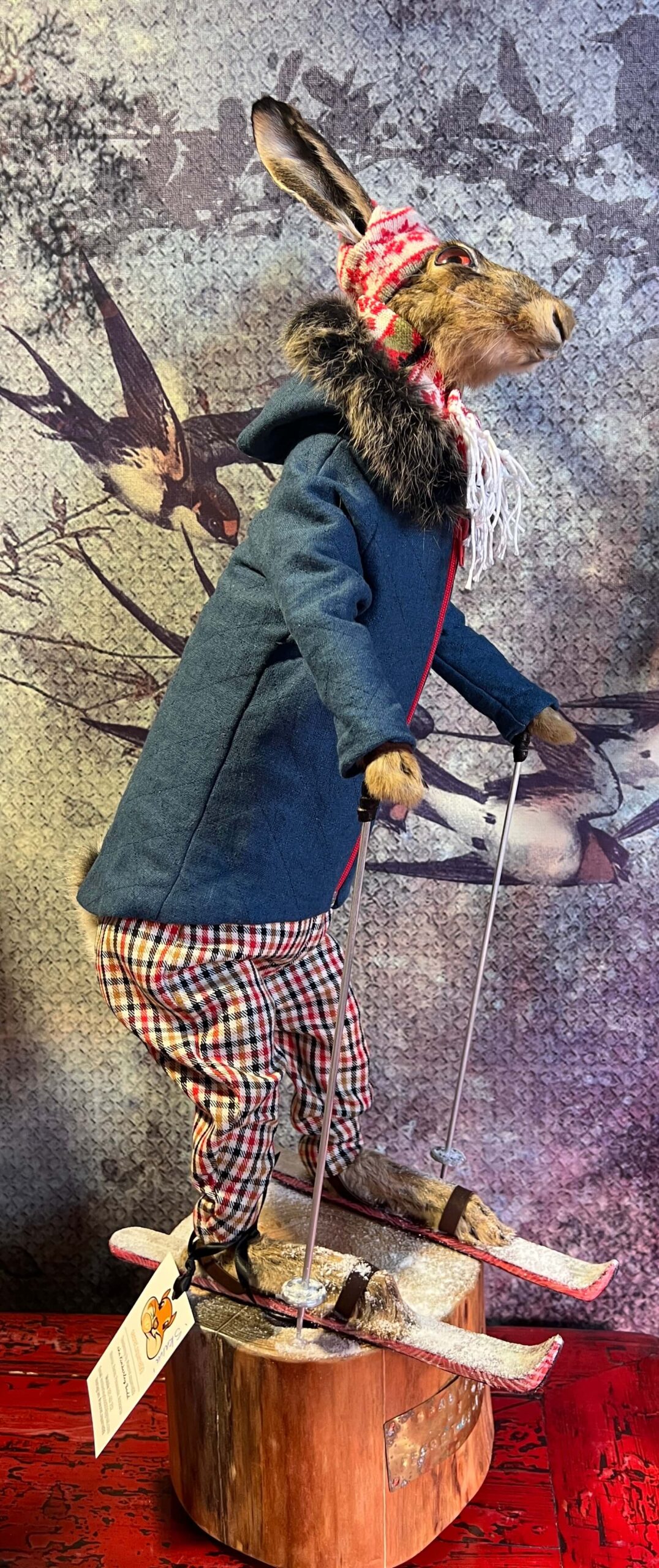 Skalva McHare - Taxidermy Hare - Image 4