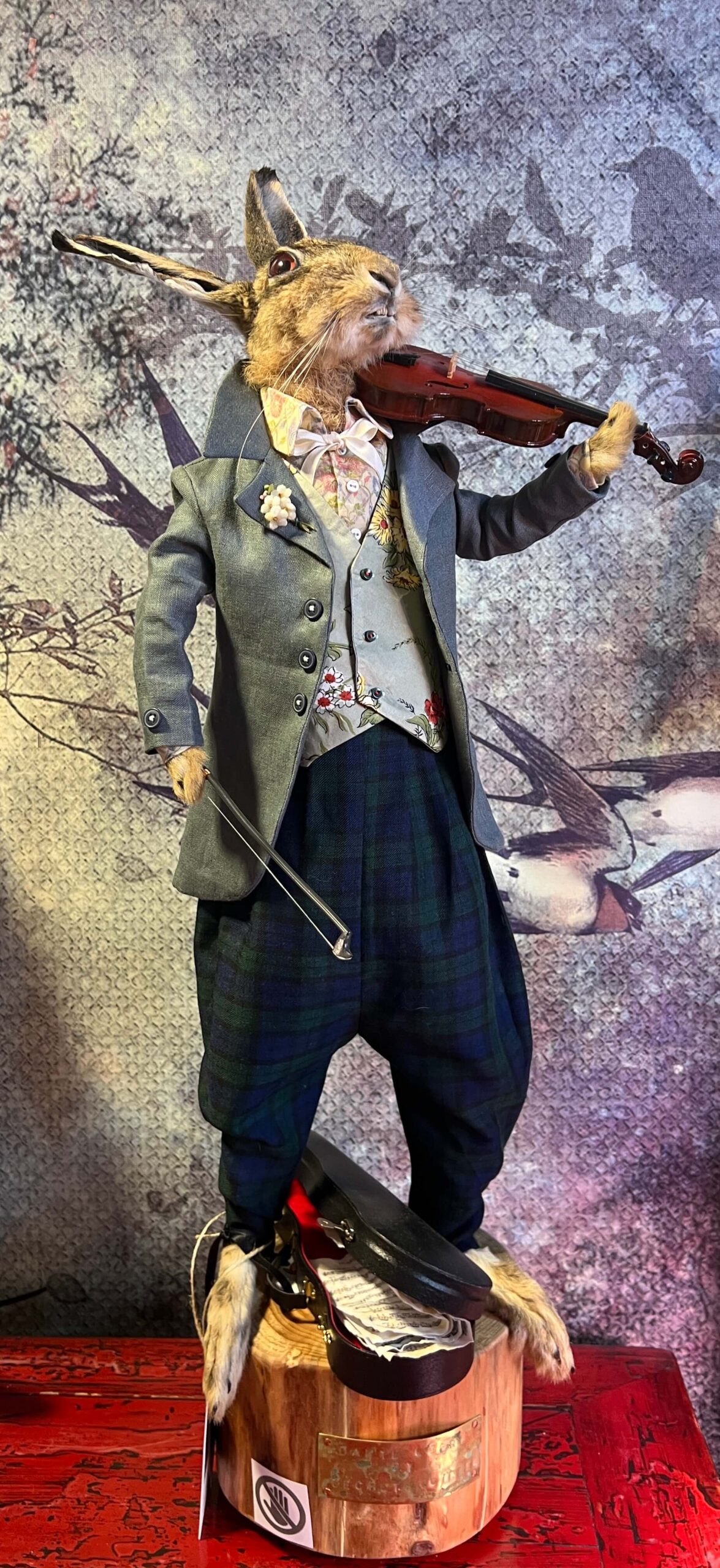 Dante Lepre - Taxidermy Hare