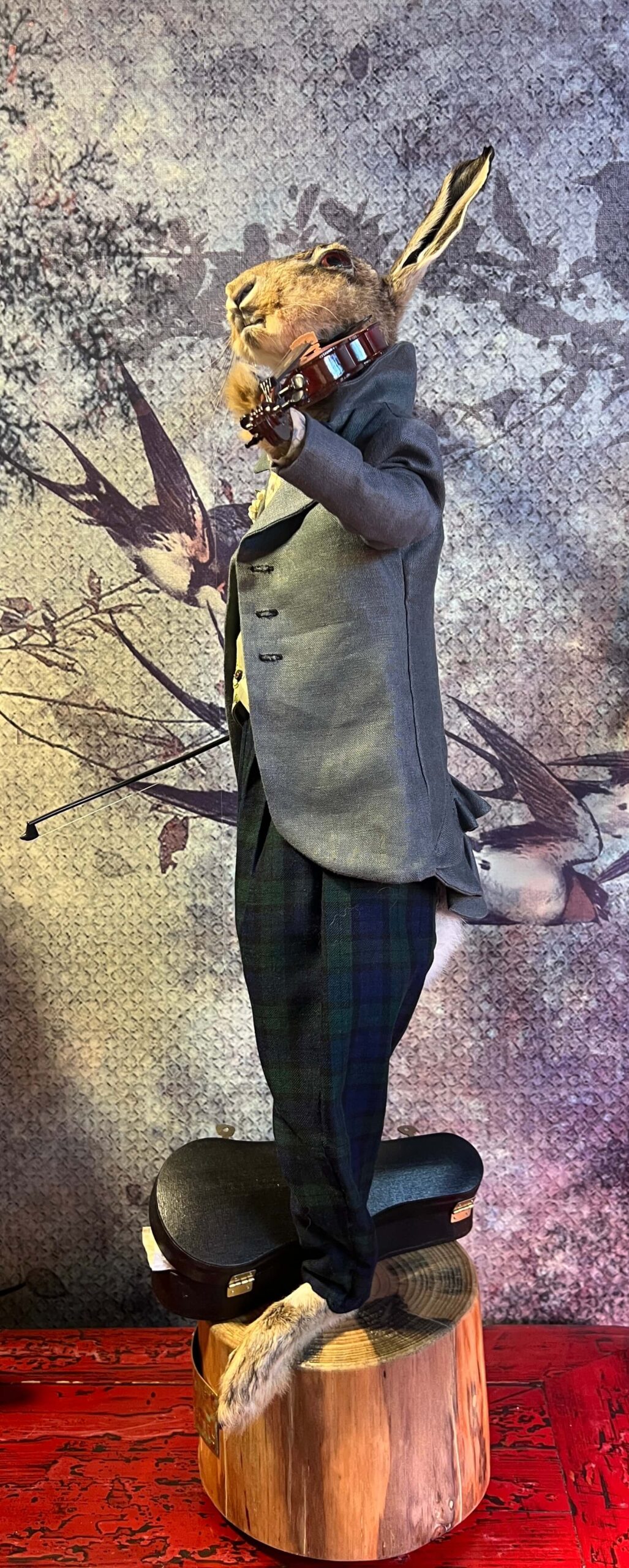 Dante Lepre - Taxidermy Hare - Image 3