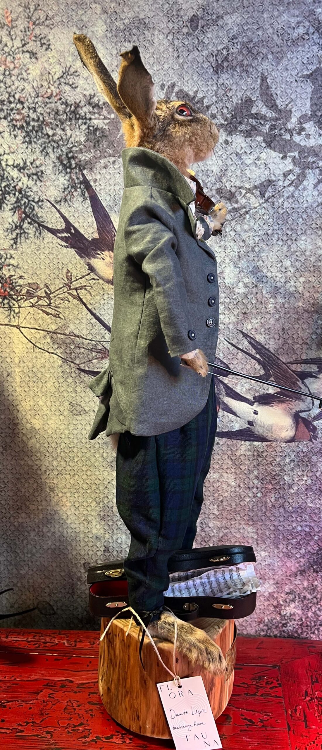Dante Lepre - Taxidermy Hare - Image 5