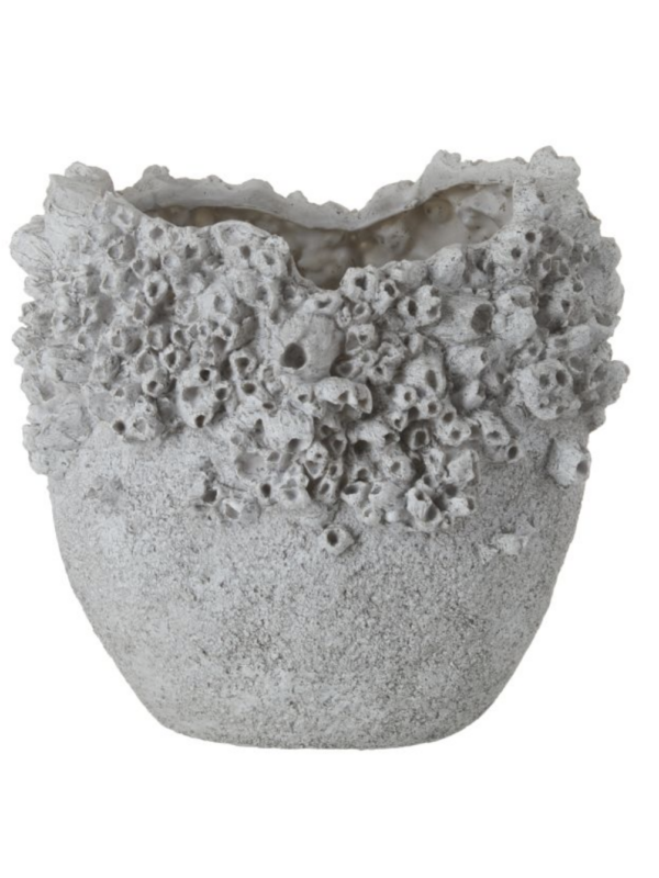 Barnacle Vessel - Large